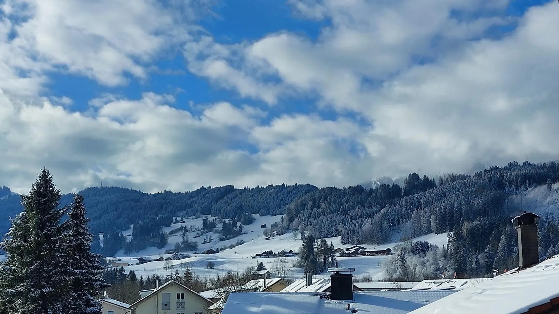 Ferienwohnung Alpenvogel Sonthofen 0*,